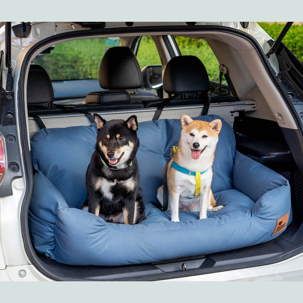 Bilsete for hund — Reis sammen i trygghet