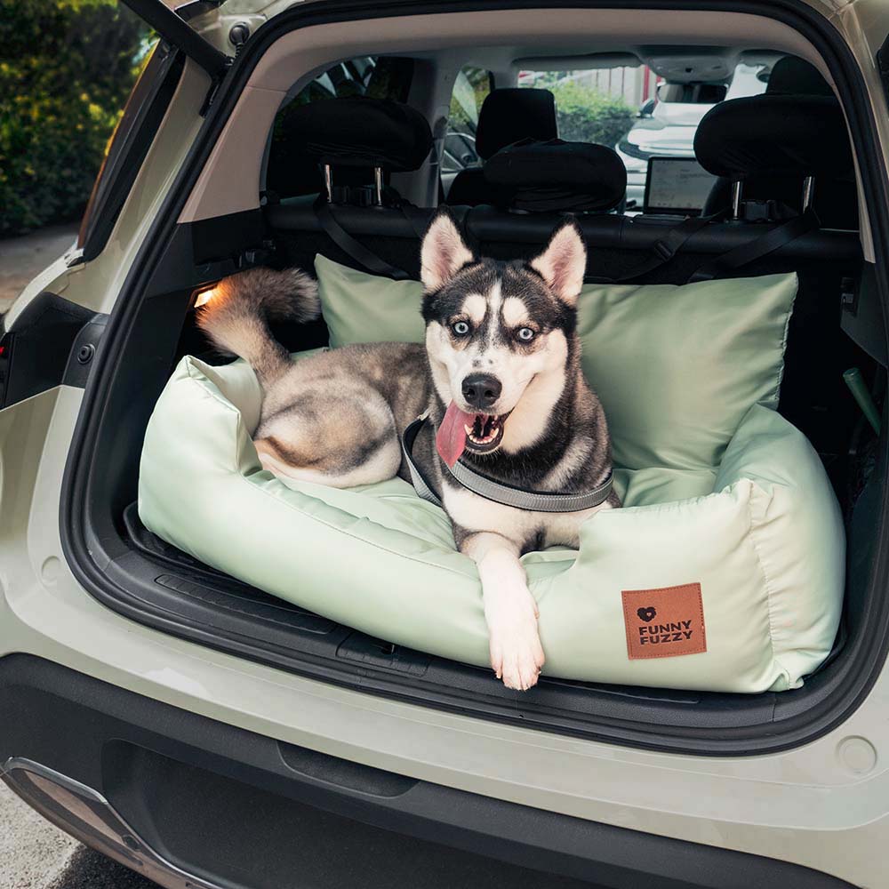 Bilsete for hund — Reis sammen i trygghet
