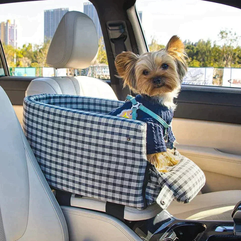 Pet Car Seat — Safe and Comfortable Transport 