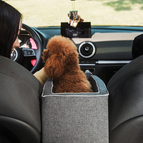Pet Car Seat — Safe and Comfortable Transport 