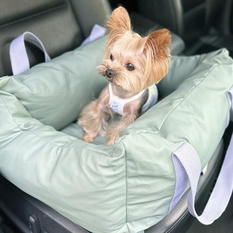 Cojín De Coche Para Perro – Protección Y Suavidad En Ruta 