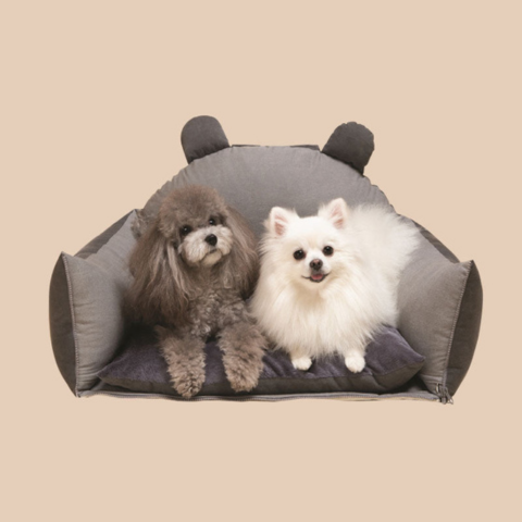 Travel Basket for Dog – Versatile and Easy to Transport 