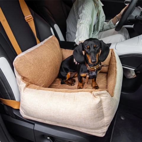 Hond Autostoel – Comfort En Veiligheid In De Auto 