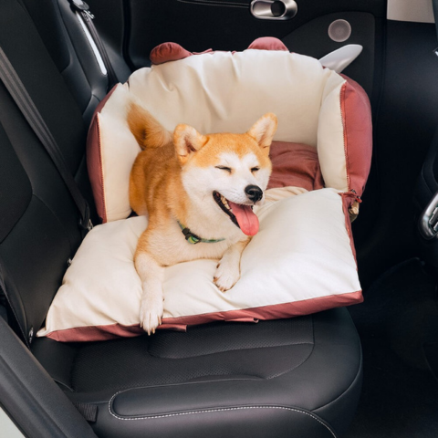 Travel Basket for Dog – Versatile and Easy to Transport 