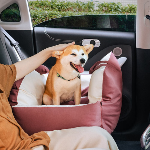 Travel Basket for Dog – Versatile and Easy to Transport 