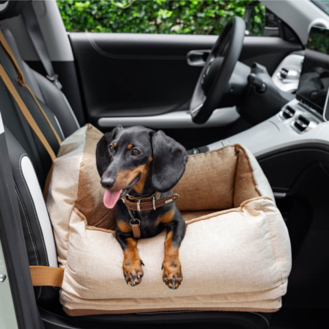 Hond Autostoel – Comfort En Veiligheid In De Auto 