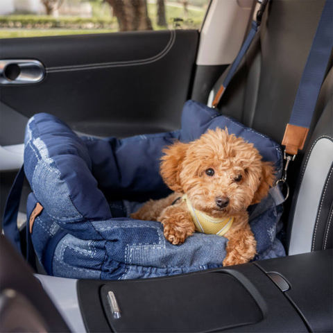 犬用ポータブルバスケット — 家と車での快適さ 
