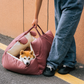 Travel Basket for Dog – Versatile and Easy to Transport 